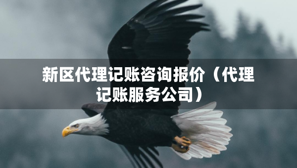 新區(qū)代理記賬咨詢報價（代理記賬服務(wù)公司）