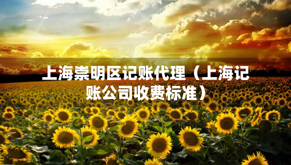 上海崇明區(qū)記賬代理（上海記賬公司收費(fèi)標(biāo)準(zhǔn)）