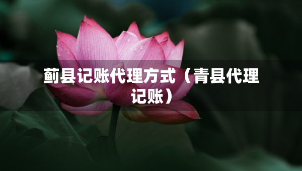 薊縣記賬代理方式（青縣代理記賬）