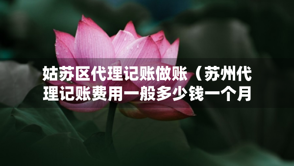 姑蘇區(qū)代理記賬做賬（蘇州代理記賬費用一般多少錢一個月）