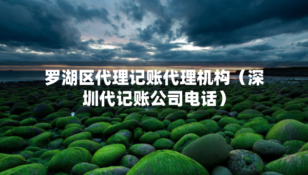 羅湖區(qū)代理記賬代理機構(gòu)(深圳代記賬公司電話) 羅湖區(qū)代理記賬代理機構(gòu)(深圳代記賬公司電話)