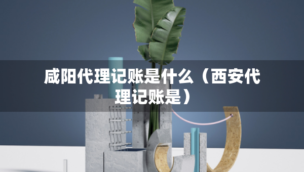 咸陽(yáng)代理記賬是什么（西安代理記賬是）