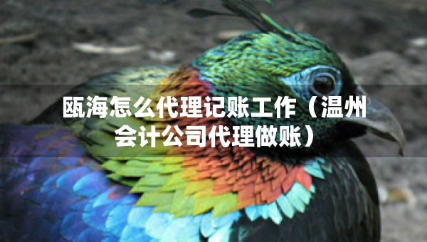 甌海怎么代理記賬工作(溫州會計公司代理做賬) 甌海怎么代理記賬工作(溫州會計公司代理做賬)