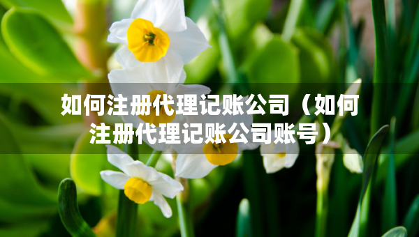 如何注冊代理記賬公司（如何注冊代理記賬公司賬號）