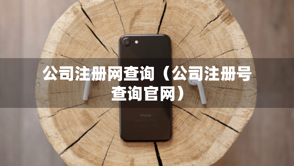 公司注冊網(wǎng)查詢（公司注冊號查詢官網(wǎng)）