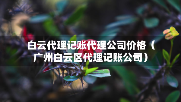 白云代理記賬代理公司價格（廣州白云區(qū)代理記賬公司）