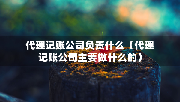 代理記賬公司負(fù)責(zé)什么（代理記賬公司主要做什么的）