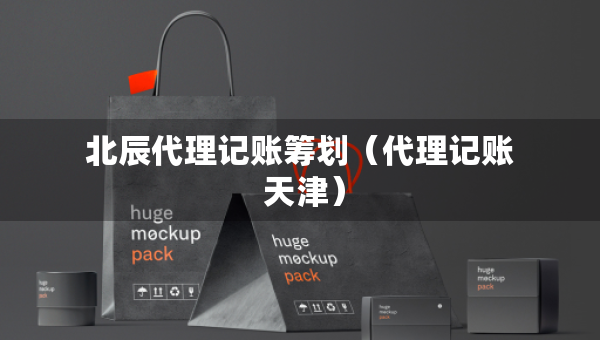 北辰代理記賬籌劃（代理記賬 天津）