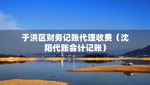 于洪區(qū)財務(wù)記賬代理收費（沈陽代賬會計記賬）
