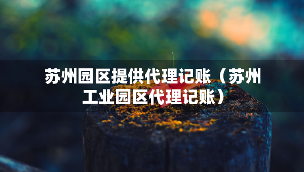 蘇州園區(qū)提供代理記賬（蘇州工業(yè)園區(qū)代理記賬）