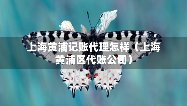 上海黃浦記賬代理怎樣（上海黃浦區(qū)代賬公司）