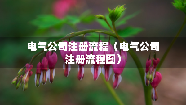 電氣公司注冊流程（電氣公司注冊流程圖）