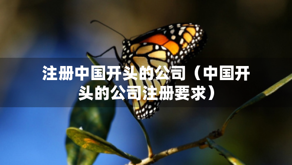 注冊中國開頭的公司（中國開頭的公司注冊要求）
