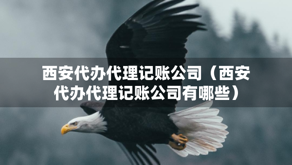 西安代辦代理記賬公司（西安代辦代理記賬公司有哪些）