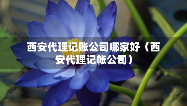 西安代理記賬公司哪家好(西安代理記帳公司) 西安代理記賬公司哪家好(西安代理記帳公司)