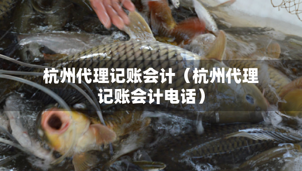 杭州代理記賬會計（杭州代理記賬會計電話）