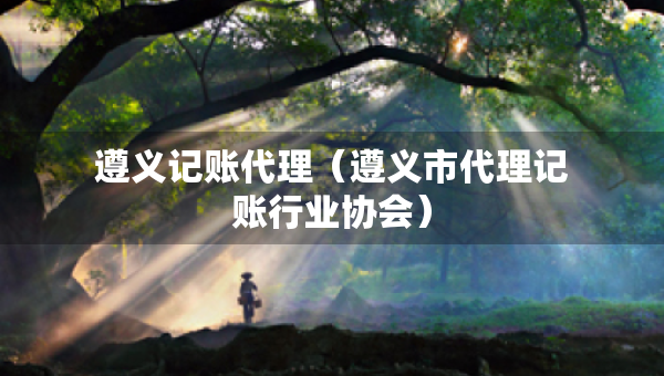 遵義記賬代理(遵義市代理記賬行業(yè)協(xié)會) 遵義記賬代理(遵義市代理記賬行業(yè)協(xié)會)