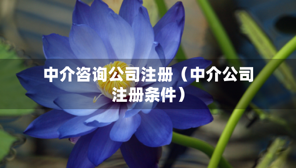 中介咨詢公司注冊（中介公司注冊條件）