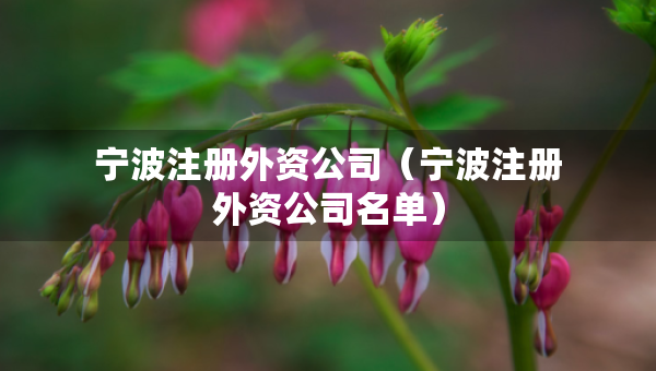 寧波注冊(cè)外資公司（寧波注冊(cè)外資公司名單）