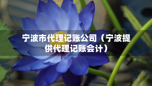 寧波市代理記賬公司（寧波提供代理記賬會(huì)計(jì)）