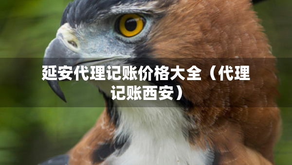 延安代理記賬價格大全（代理記賬西安）