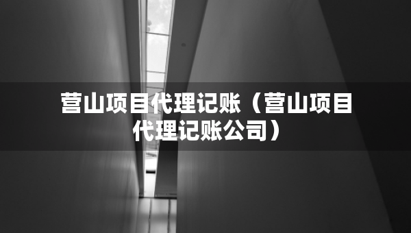 營(yíng)山項(xiàng)目代理記賬（營(yíng)山項(xiàng)目代理記賬公司）