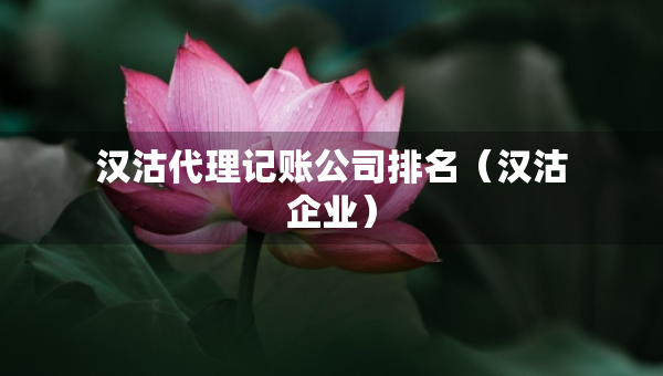 漢沽代理記賬公司排名（漢沽企業(yè)）
