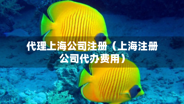代理上海公司注冊（上海注冊公司代辦費(fèi)用）