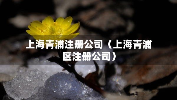 上海青浦注冊(cè)公司（上海青浦區(qū)注冊(cè)公司）