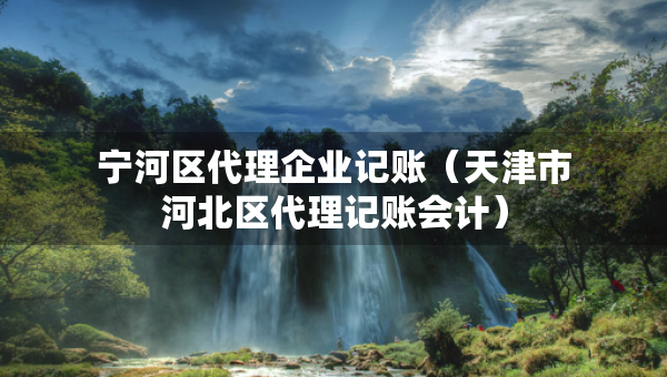 寧河區(qū)代理企業(yè)記賬(天津市河北區(qū)代理記賬會計(jì)) 寧河區(qū)代理企業(yè)記賬(天津市河北區(qū)代理記賬會計(jì))