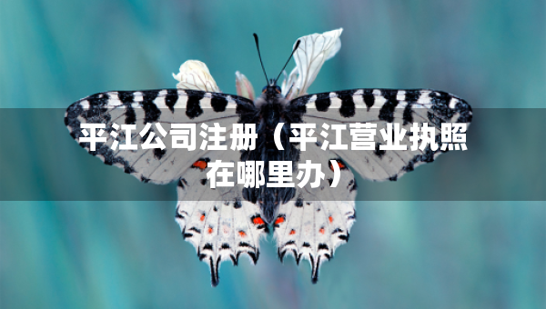 平江公司注冊(cè)（平江營(yíng)業(yè)執(zhí)照在哪里辦）