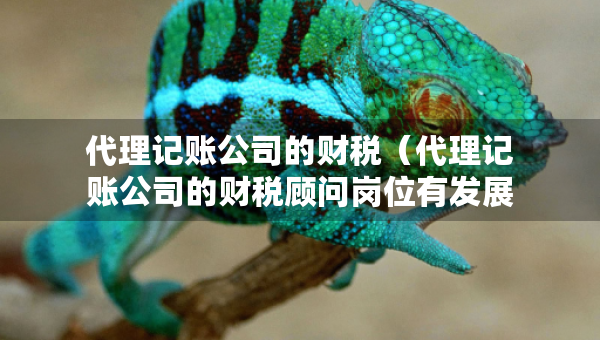 代理記賬公司的財(cái)稅(代理記賬公司的財(cái)稅顧問(wèn)崗位有發(fā)展空間么) 代理記賬公司的財(cái)稅(代理記賬公司的財(cái)稅顧問(wèn)崗位有發(fā)展空間么)