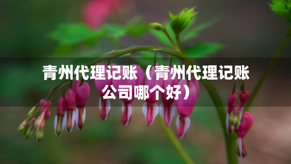青州代理記賬（青州代理記賬公司哪個(gè)好）
