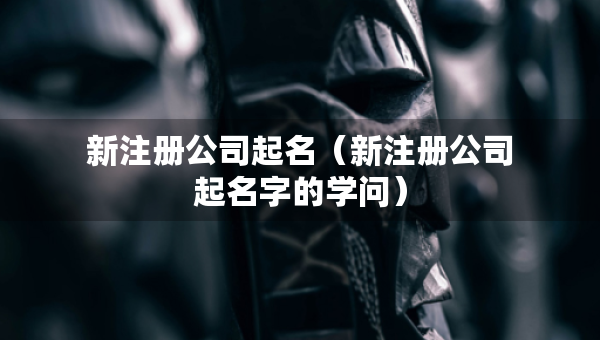 新注冊(cè)公司起名（新注冊(cè)公司起名字的學(xué)問）