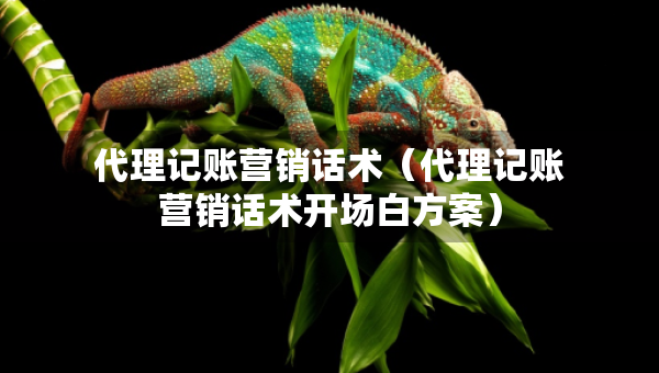 代理記賬營銷話術(shù)（代理記賬營銷話術(shù)開場白方案）