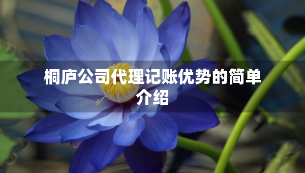 桐廬公司代理記賬優(yōu)勢的簡單介紹 桐廬公司代理記賬優(yōu)勢的簡單介紹