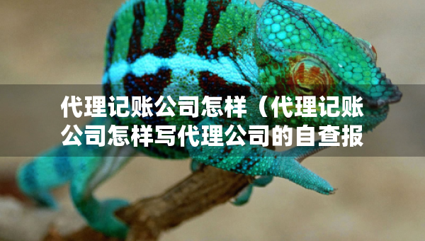 代理記賬公司怎樣（代理記賬公司怎樣寫代理公司的自查報(bào)告）