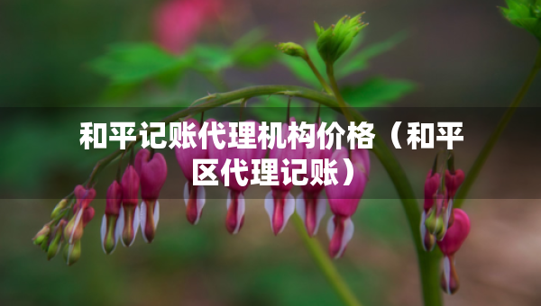 和平記賬代理機(jī)構(gòu)價(jià)格（和平區(qū)代理記賬）