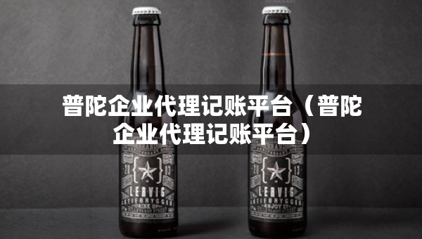 普陀企業(yè)代理記賬平臺(tái)（普陀企業(yè)代理記賬平臺(tái)）