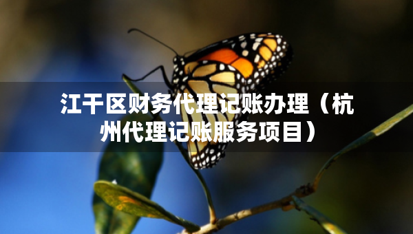 江干區(qū)財務代理記賬辦理（杭州代理記賬服務項目）