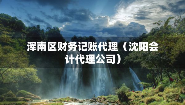 渾南區(qū)財務(wù)記賬代理（沈陽會計代理公司）