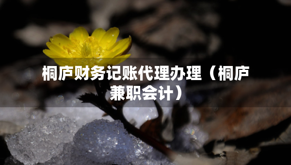 桐廬財(cái)務(wù)記賬代理辦理(桐廬兼職會(huì)計(jì)) 桐廬財(cái)務(wù)記賬代理辦理(桐廬兼職會(huì)計(jì))