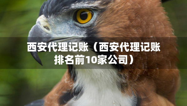 西安代理記賬（西安代理記賬排名前10家公司）