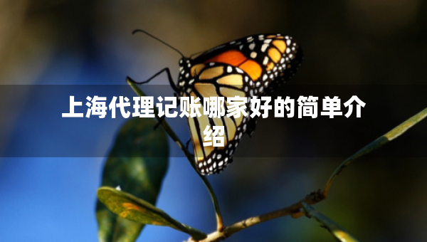 上海代理記賬哪家好的簡單介紹