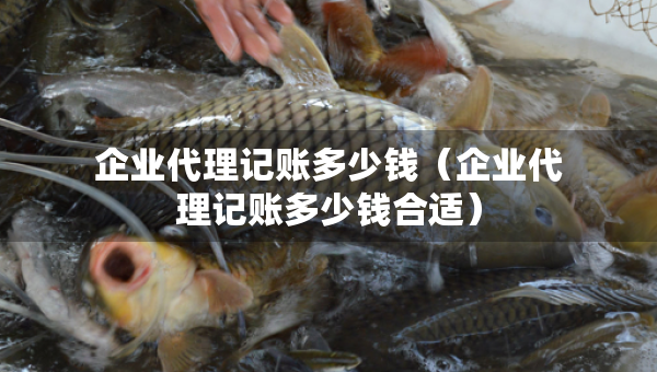 企業(yè)代理記賬多少錢（企業(yè)代理記賬多少錢合適）