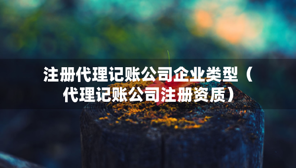 注冊代理記賬公司企業(yè)類型（代理記賬公司注冊資質(zhì)）