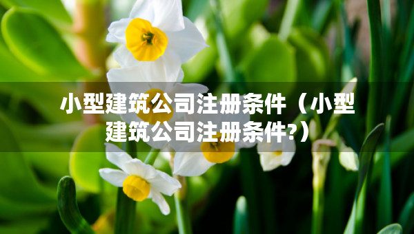小型建筑公司注冊(cè)條件(小型建筑公司注冊(cè)條件?) 小型建筑公司注冊(cè)條件(小型建筑公司注冊(cè)條件?)