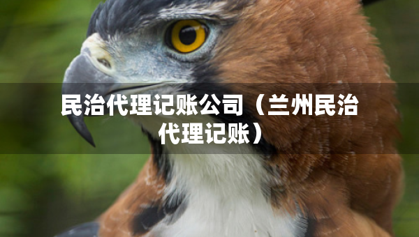 民治代理記賬公司（蘭州民治代理記賬）