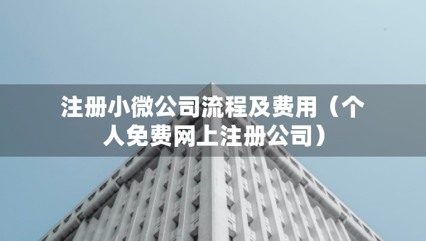 注冊小微公司流程及費用（個人免費網(wǎng)上注冊公司）