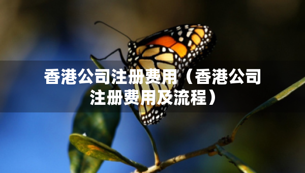 香港公司注冊費用(香港公司注冊費用及流程) 香港公司注冊費用(香港公司注冊費用及流程)